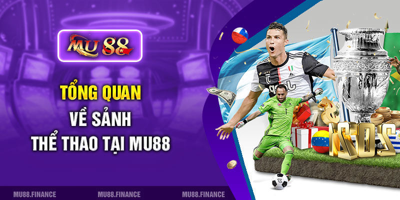 Tổng quan về sảnh thể thao Mu88