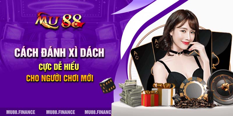 Cách đánh Xì Dách cực dễ hiểu cho người chơi mới