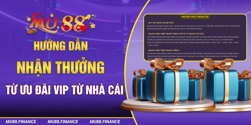 Hướng dẫn nhận thưởng từ ưu đãi VIP từ nhà cái