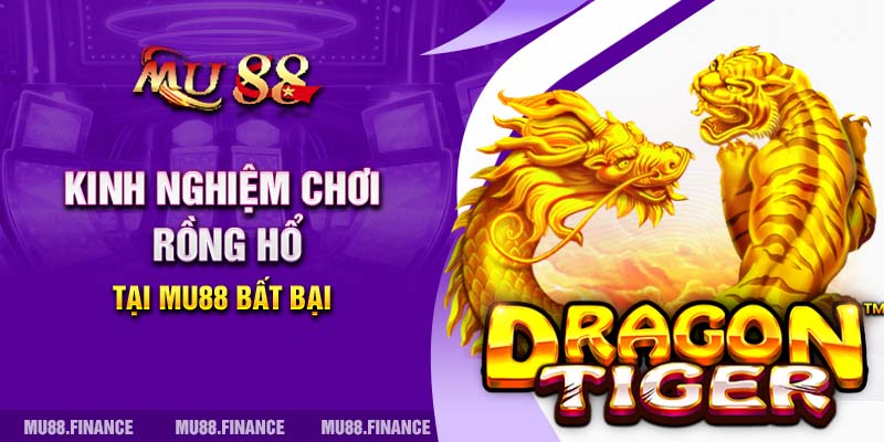 Kinh nghiệm chơi Rồng Hổ tại MU88 bất bại