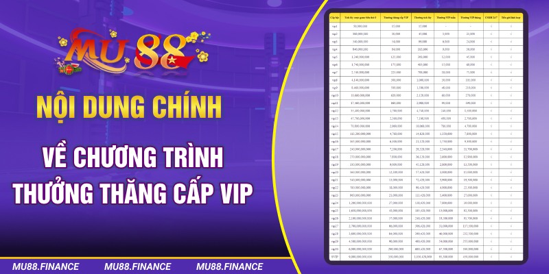 Nội dung chính về chương trình thưởng thăng cấp VIP