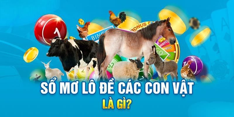 Các lý do giúp người dùng tin tưởng hơn về sổ lô đề  