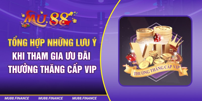 Tổng hợp những lưu ý khi tham gia ưu đãi Thưởng thăng cấp VIP